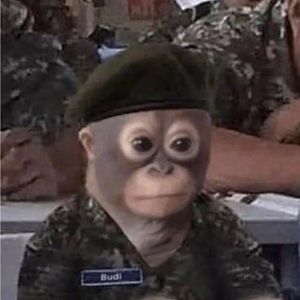 Meet your Posher, Jimmy